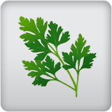 herb herb