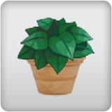houseplant houseplant