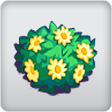 shrub shrub
