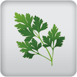 Herb Herb