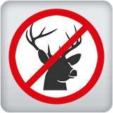 Deer Resistant Deer Resistant
