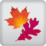 Fall Color Fall Color