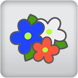 Flowers Flowers