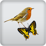 Attracts Wildlife Attracts Wildlife