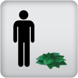 Plant Height Plant Height