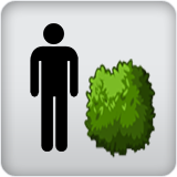 Plant Height Plant Height
