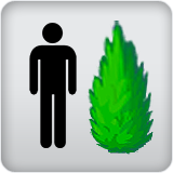 Plant Height Plant Height
