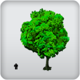 Plant Height Plant Height