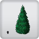 Plant Height Plant Height