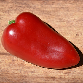 Plant Photo 5