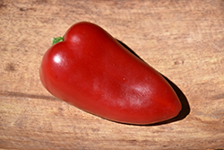 Sweet Heat Hot Pepper (Capsicum annuum 'Sweet Heat') at Debbie's Greenhouse & Garden Centre