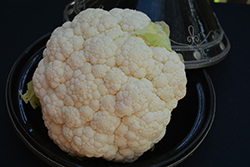 Snow Crown Cauliflower (Brassica oleracea var. botrytis 'Snow Crown') at Debbie's Greenhouse & Garden Centre