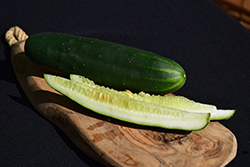 Marketmore 76 Cucumber (Cucumis sativus 'Marketmore 76') at Debbie's Greenhouse & Garden Centre
